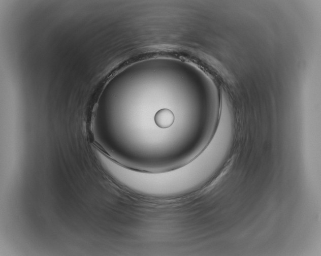 X0000113121209200909041259