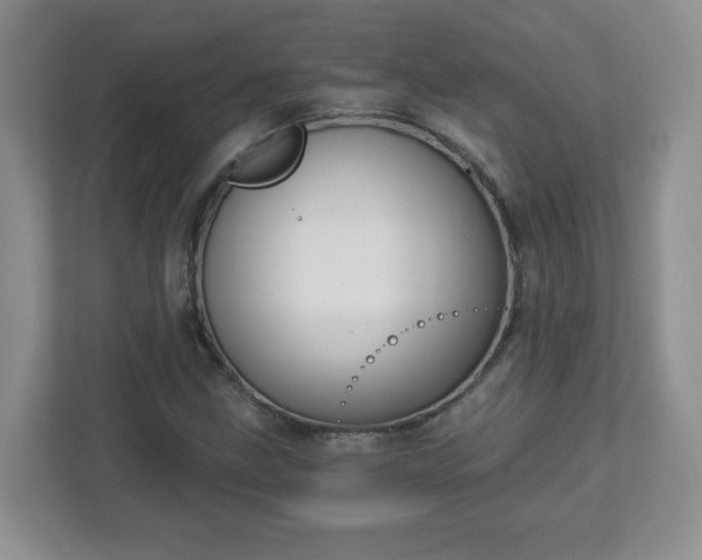 X0000113121211200909041259