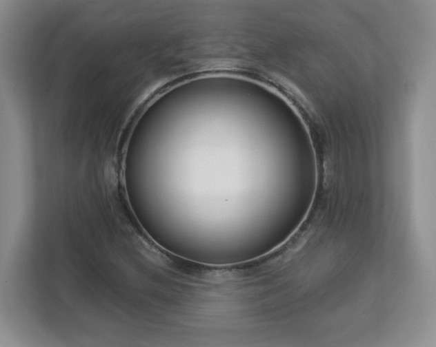 X0000113121212200909041259