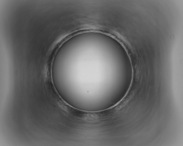 X0000113121215200909041259