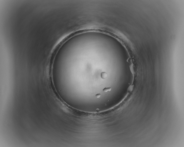 X0000113121216200909041259