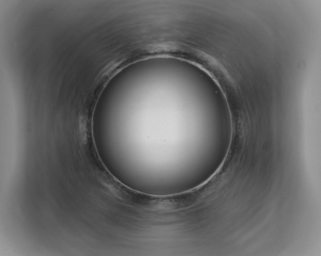 X0000113121217200909041259