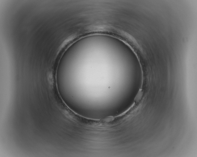 X0000113121218200909041259