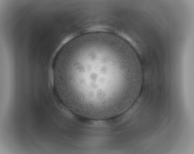 X0000113121219200909041259