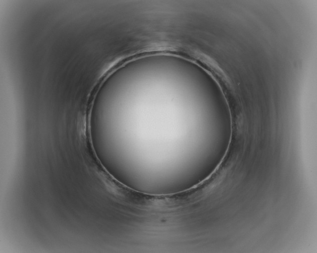 X0000113121220200909041259