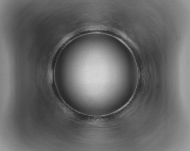 X0000113121221200909041259