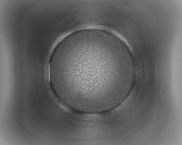 X0000113121223200909041259