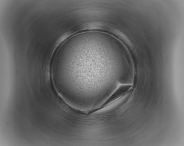 X0000113121226200909041259