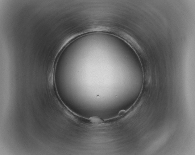 X0000113121228200909041259