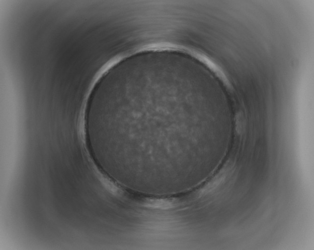 X0000113121229200909041259