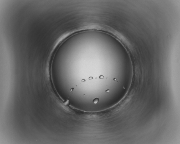 X0000113121230200909041259