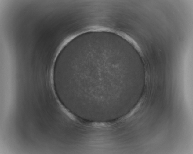 X0000113121231200909041259