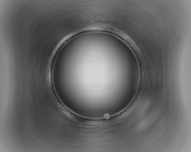 X0000113121232200909041259