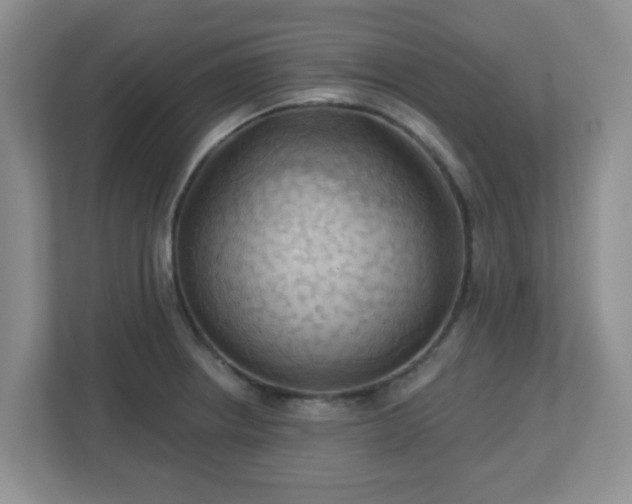 X0000113121234200909041259