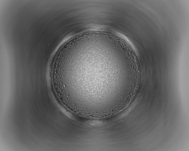 X0000113121235200909041259