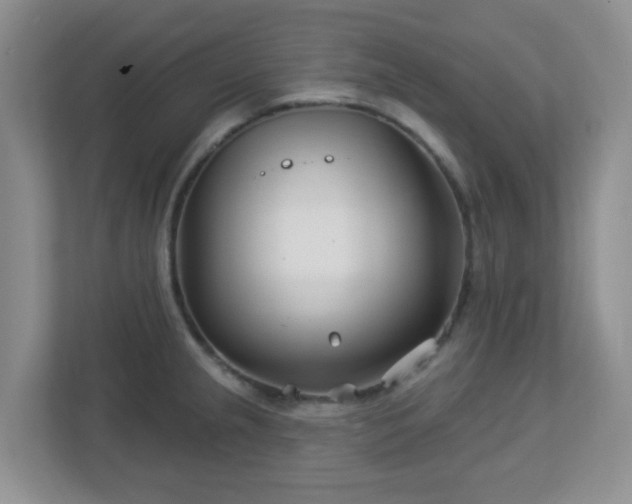 X0000113121237200909041259