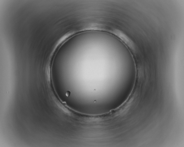 X0000113121238200909041259