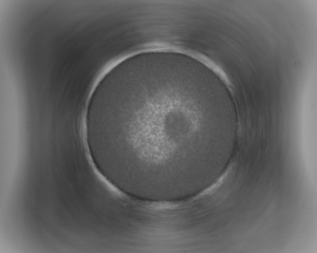 X0000113121239200909041259