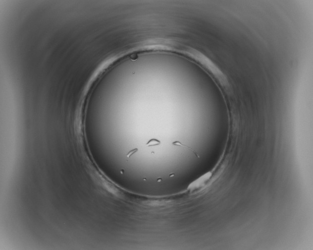 X0000113121240200909041259