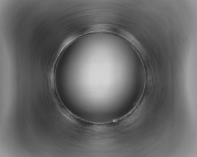 X0000113121242200909041259