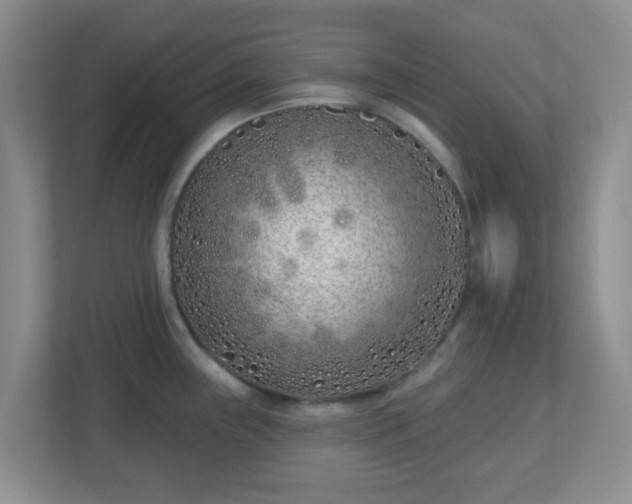 X0000113121243200909041259