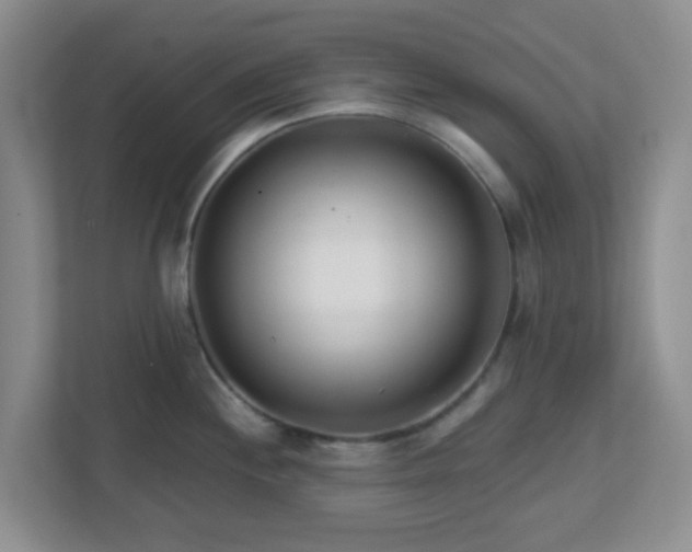 X0000113121244200909041259