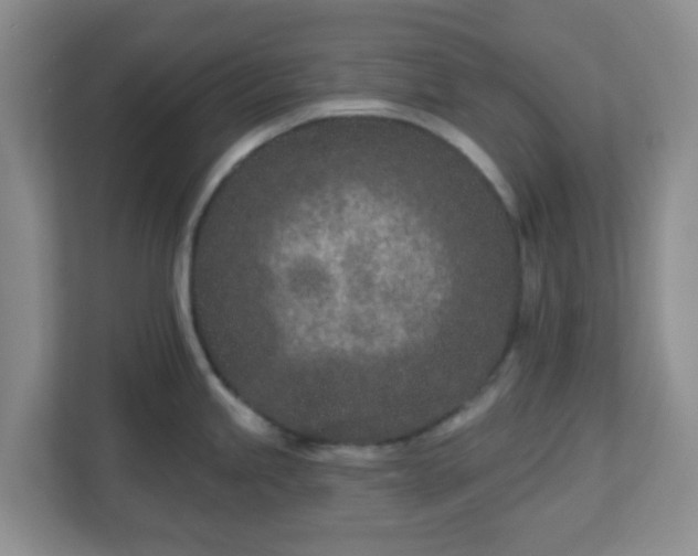 X0000113121245200909041259