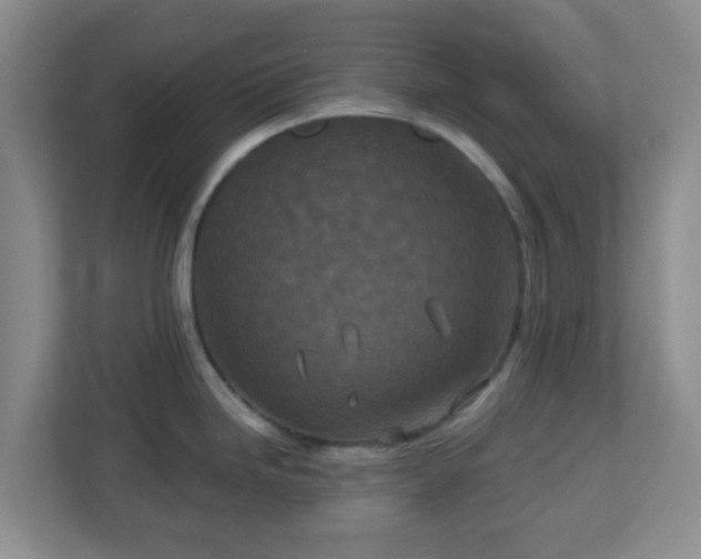 X0000113121246200909041259