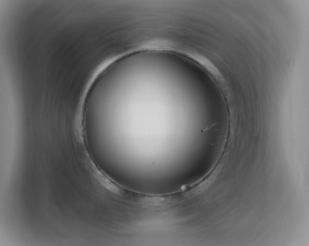 X0000113121248200909041300