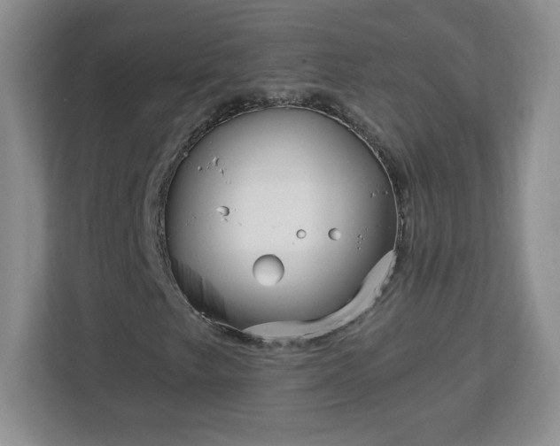 X0000113121249200909041259