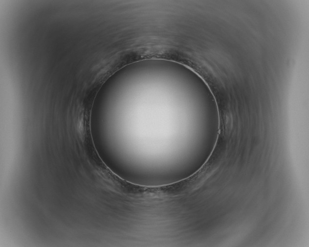 X0000113121250200909041259