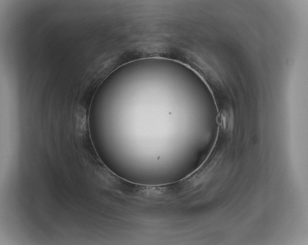 X0000113121251200909041259