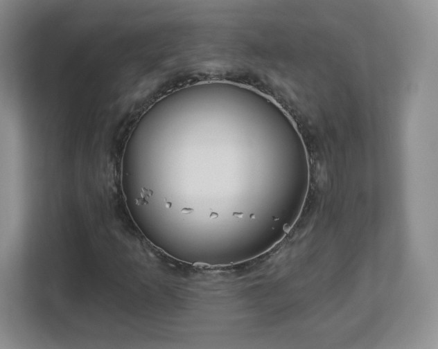 X0000113121253200909041259