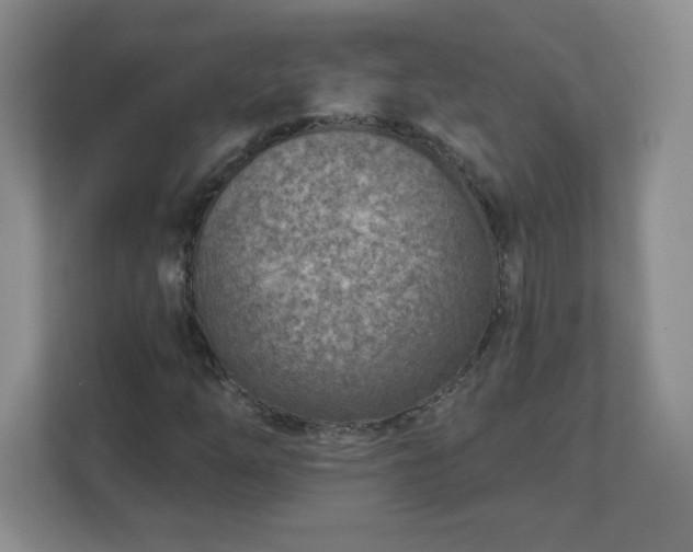 X0000113121254200909041259