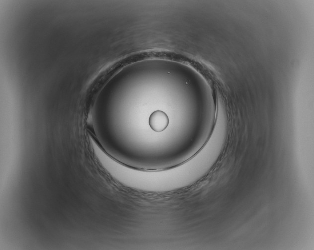 X0000113121255200909041259