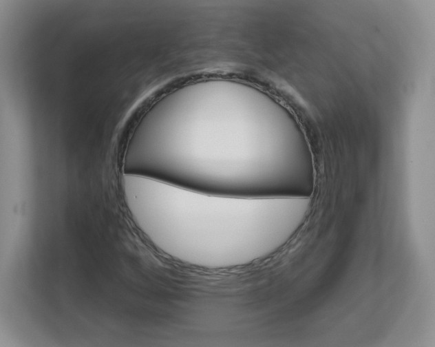 X0000113121256200909041259