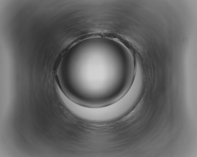 X0000113121257200909041259