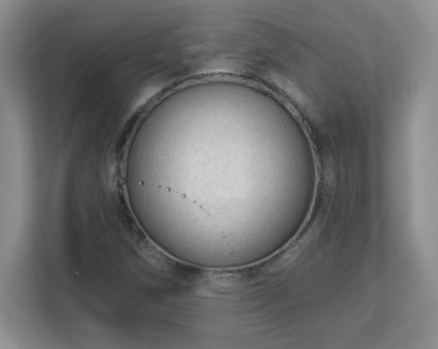 X0000113121258200909041259