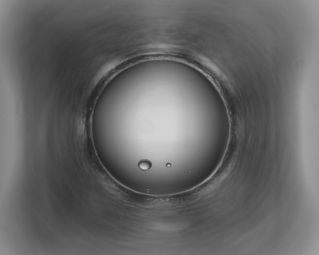 X0000113121259200909041259