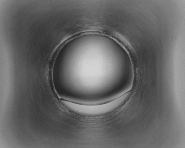 X0000113121260200909041259