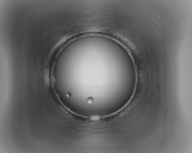 X0000113121262200909041259