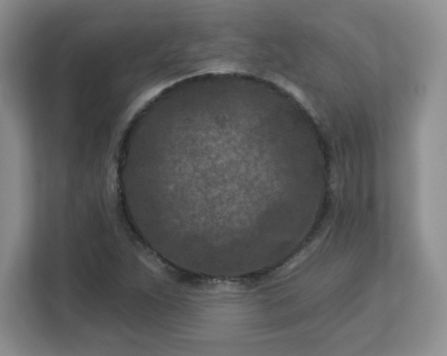 X0000113121263200909041259