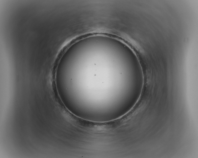 X0000113121264200909041259