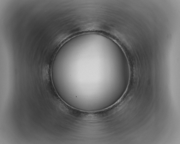 X0000113121265200909041259