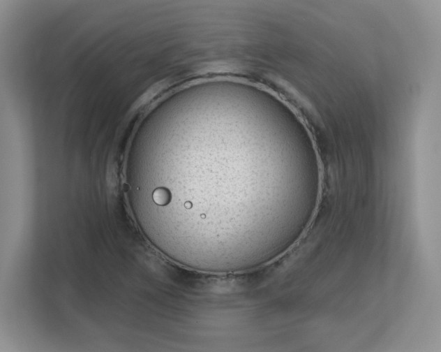 X0000113121266200909041259