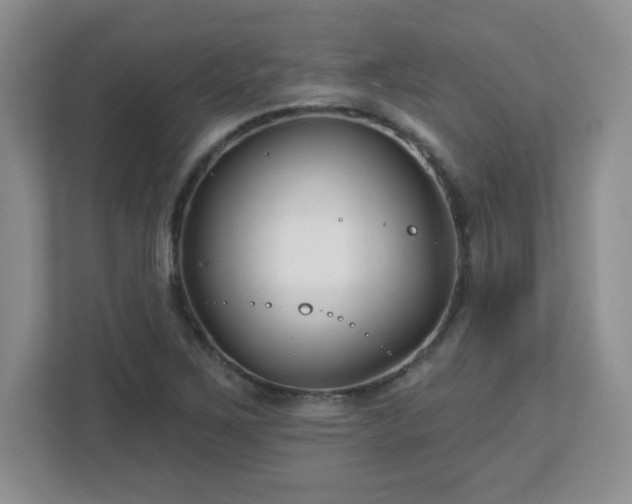 X0000113121267200909041259