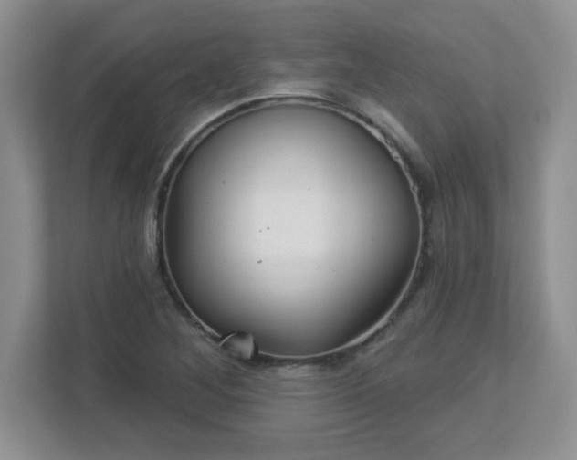 X0000113121268200909041259