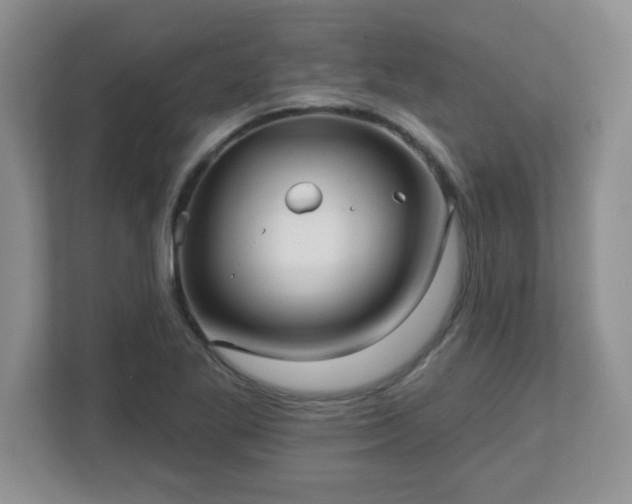 X0000113121269200909041259