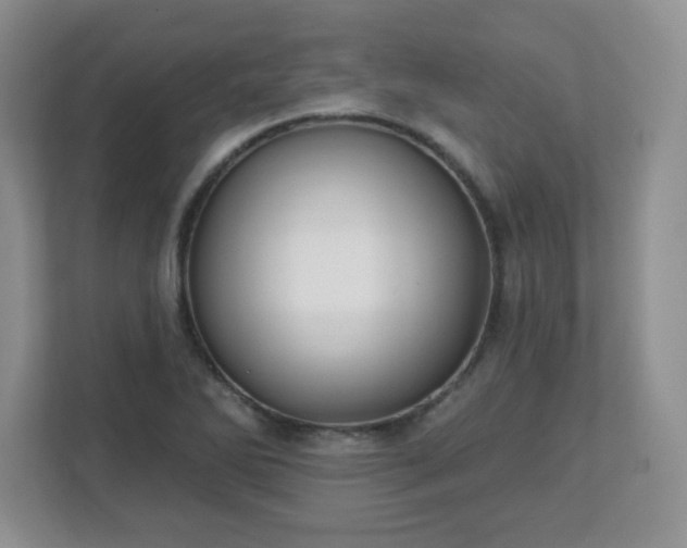 X0000113121270200909041259