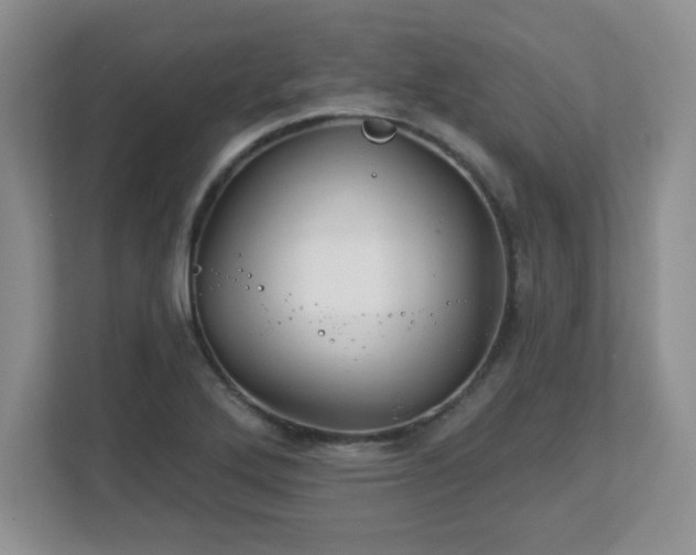 X0000113121272200909041259